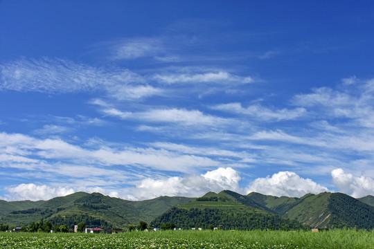 乡村风光