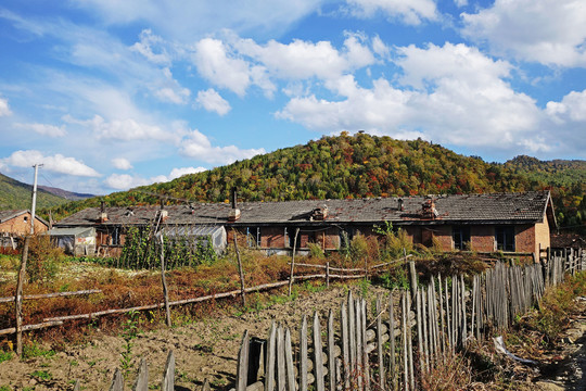 长白山林区山里人家菜园景色