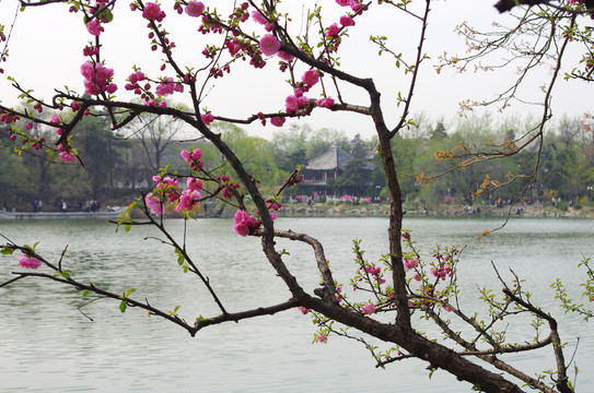 北京大学燕园校区