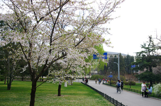 北京大学燕园校区