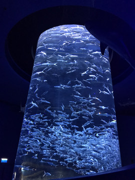 海底世界