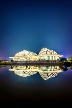 中国广西南宁文化艺术中心夜景