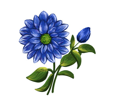 蓝色盛开花朵