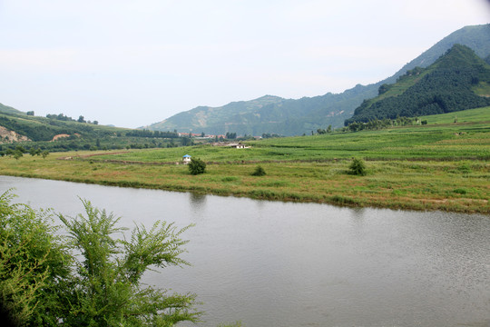 绿水青山