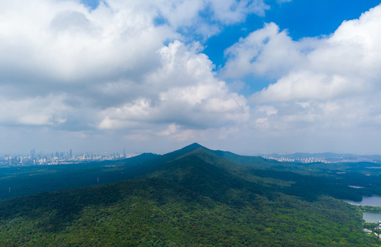 紫金山