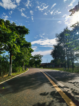 新农村曲界公路