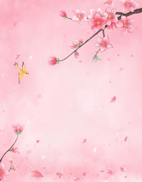 花和鸟儿背景
