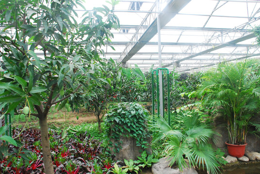 植物观光园