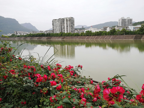 水边城市