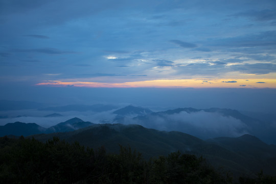 崇义上堡万长山茶园日出