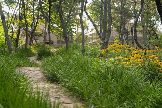 禹州市森林植物园