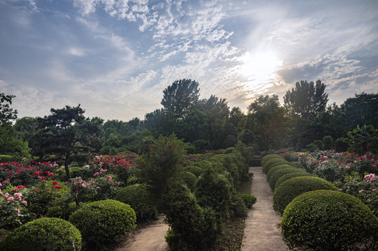 禹州市森林植物园