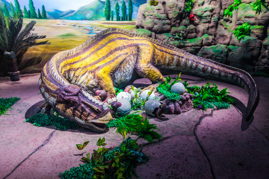 恐龙展厅