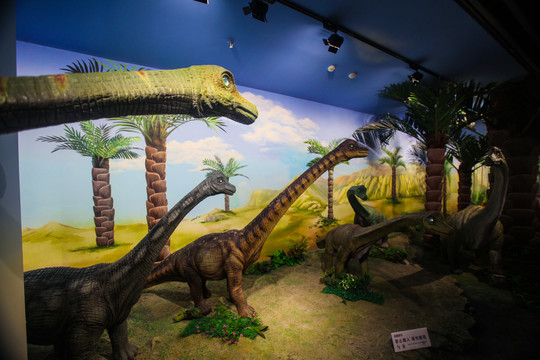 恐龙展厅展示