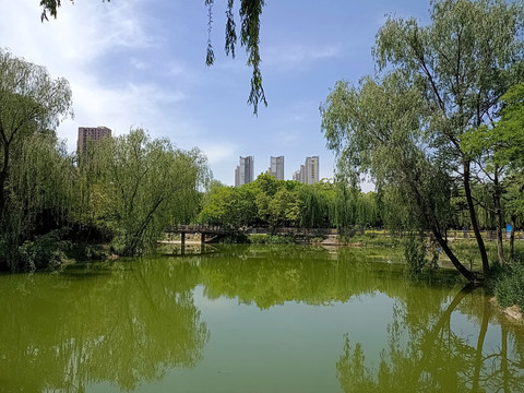 兰州西湖公园