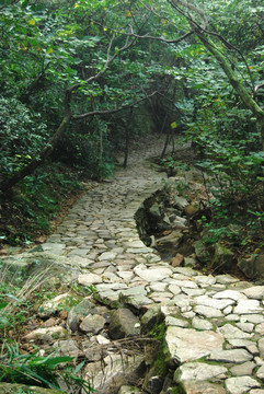 山间小路