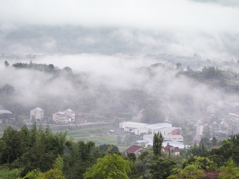 晨雾中的桐庐山村12