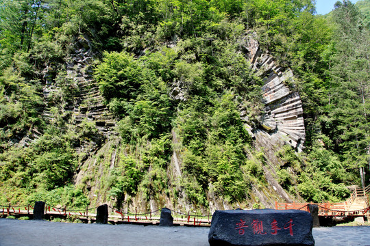 望天鹅景区风光