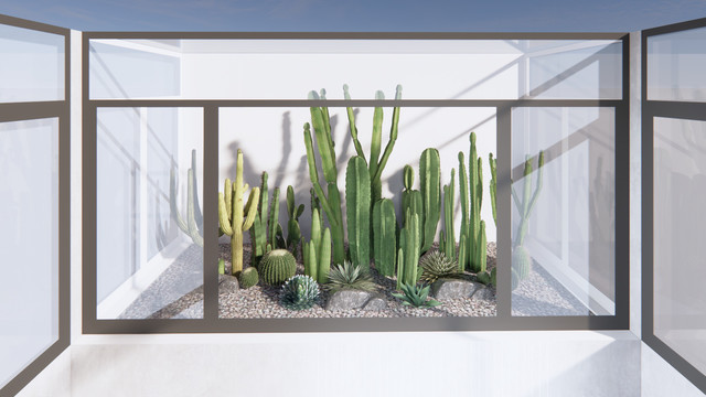 室内沙生植物造景设计