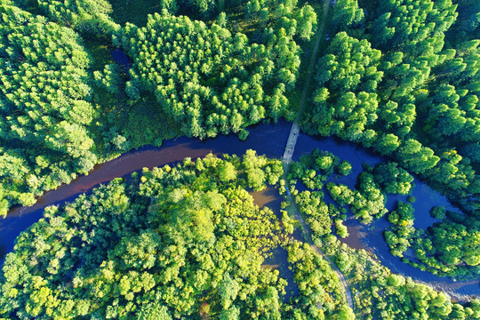 航拍大兴安岭森林小河小路桥梁