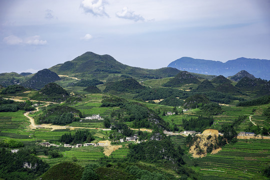 青山大山