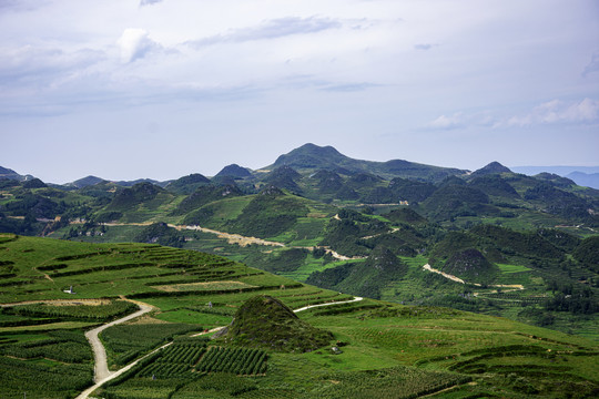 高山丘陵