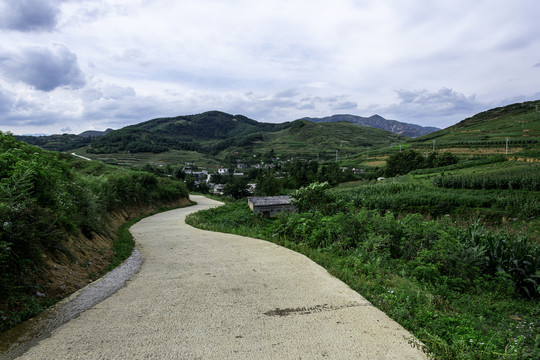 高山丘陵