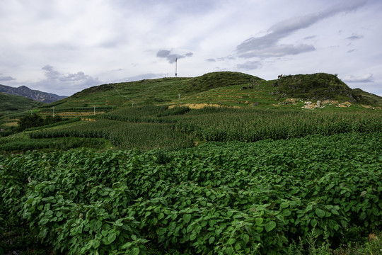 高山丘陵