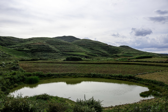 绿色乡村土地