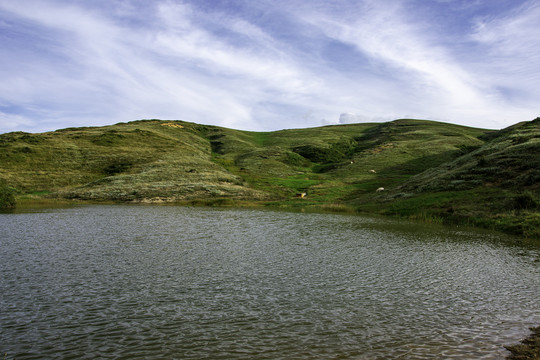 湿地山野