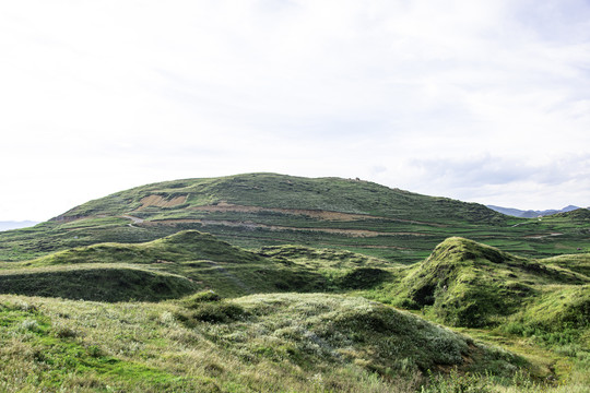 青山丘陵