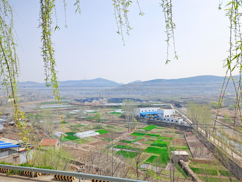 春天田野风景