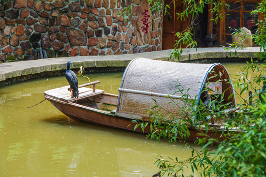 水上的带棚小木船与鸬鹚鸟