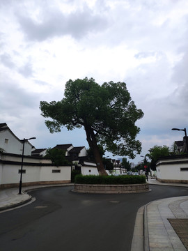 苏州城市风光