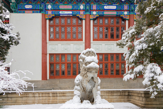 北京大学雪中麒麟