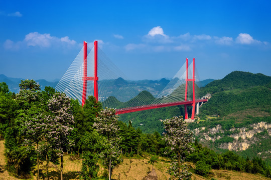 贵州省厦蓉高速公路鸭池河大桥