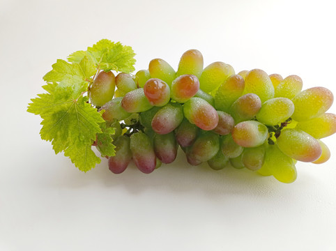 绿叶鲜果葡萄