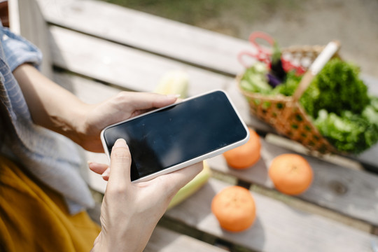 客户通过智能手机上的在线应用程序购买新鲜蔬菜和水果。