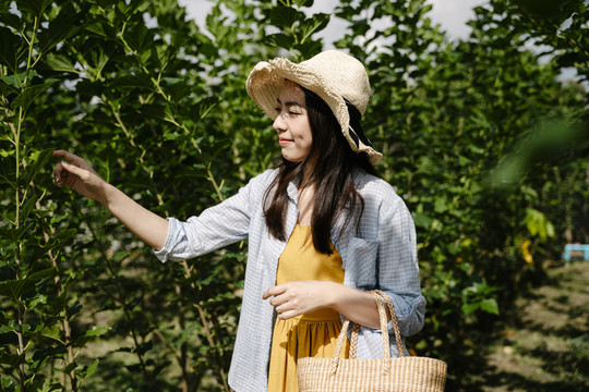 在户外的有机农场里，一位亚洲女游客戴着帽子，提着篮子。