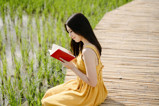 穿着黄色衣服的美丽亚洲旅行家妇女在横跨稻田的木桥上阅读红皮书。