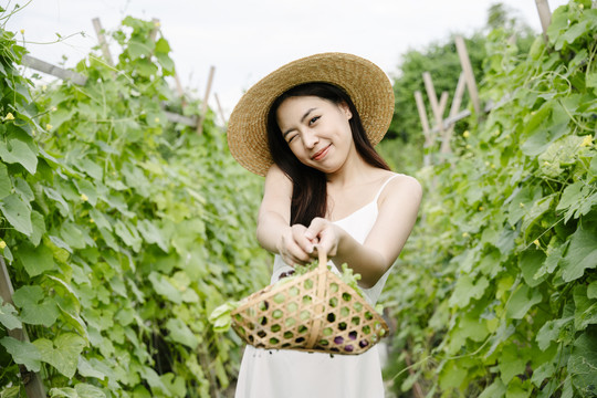 美丽的亚洲农妇在当地农场戴着带菜篮的帽子。