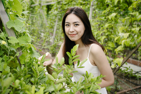 美丽的亚洲农妇在当地农场检查水果和蔬菜产品。