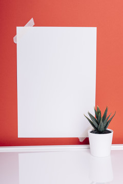 在红墙和小植物上模拟空白纸。垂直射击。