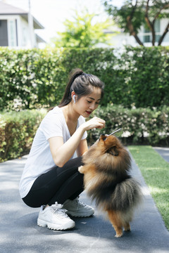 一名亚洲妇女在公园给她的狗喂食。