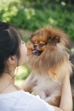 一名亚洲女主人正在亲吻波美拉尼亚斯皮茨犬。