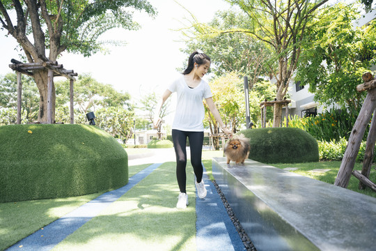 美丽的亚洲女人在公园遛狗。波美拉尼亚斯皮茨型。