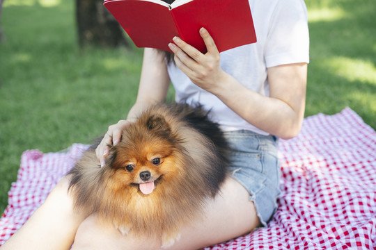 主人在公园为她的狗读书。和可爱的宠物野餐。