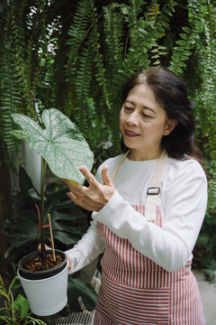 在花园里照料植物的亚洲老妇人。