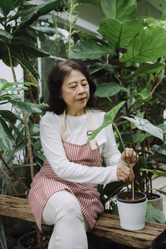 在花园里照料植物的亚洲老妇人。