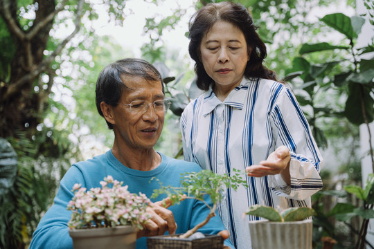 亚洲老年夫妇在花园里照料植物。